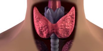 болезни щитовидной железы